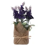 Outlet Everlands Lavendel In Jute Pot, 3 Assorti