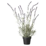 Online Decoris Lavendel In Pot, 3 Assorti
