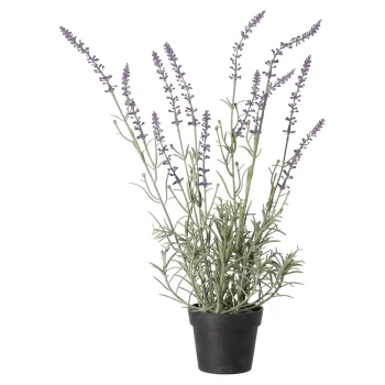 Online Decoris Lavendel In Pot, 3 Assorti