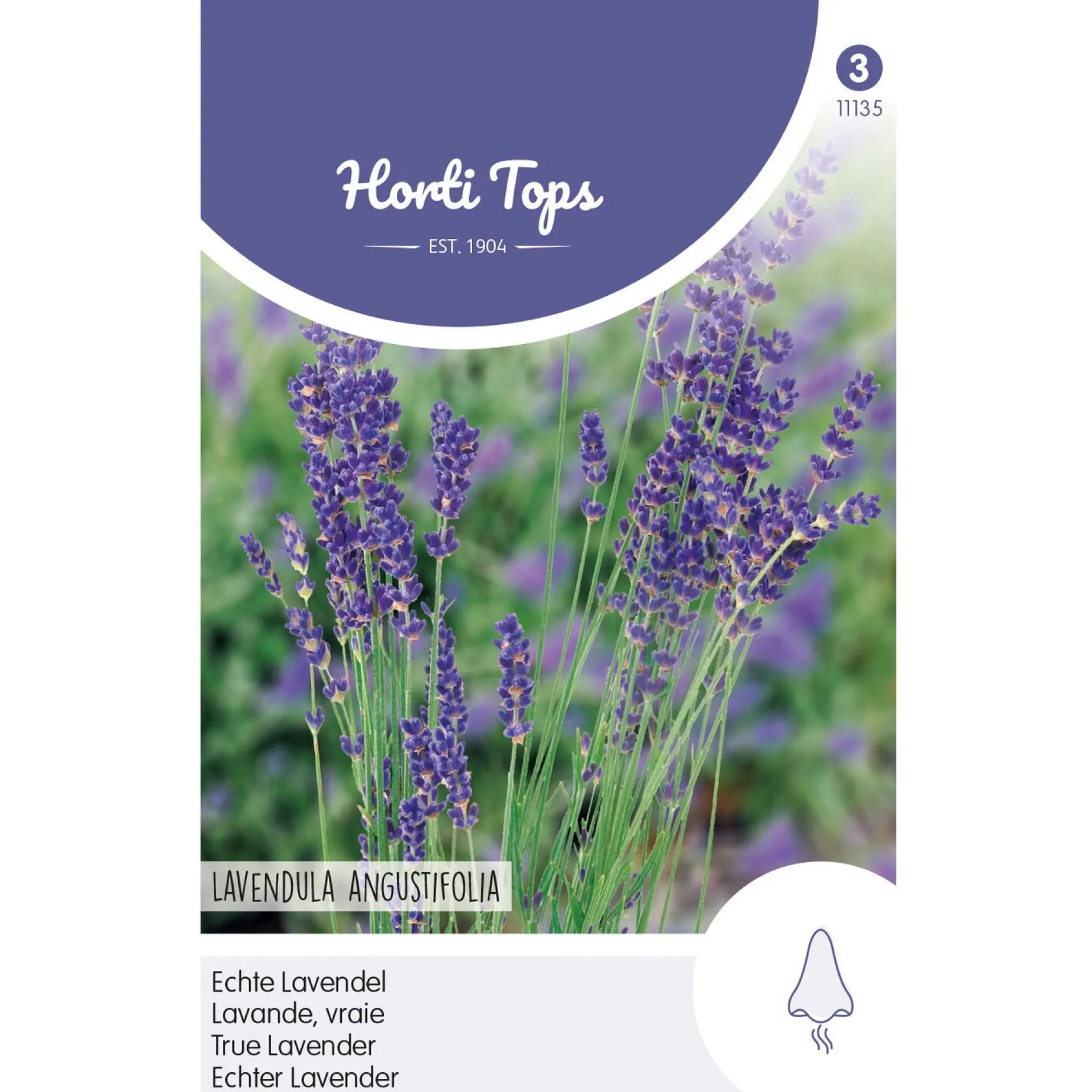 lavendel-zaad-NmUUgnkT-0.webp Outlet Horti Tops Lavendel Zaad