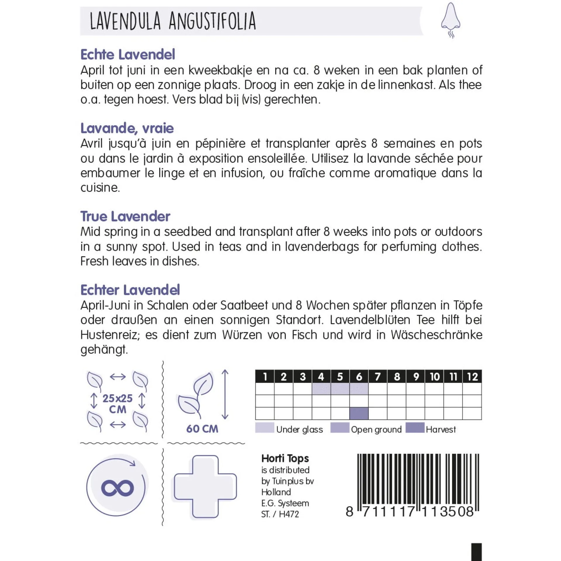 lavendel-zaad-NmUUgnkT-1.webp Outlet Horti Tops Lavendel Zaad