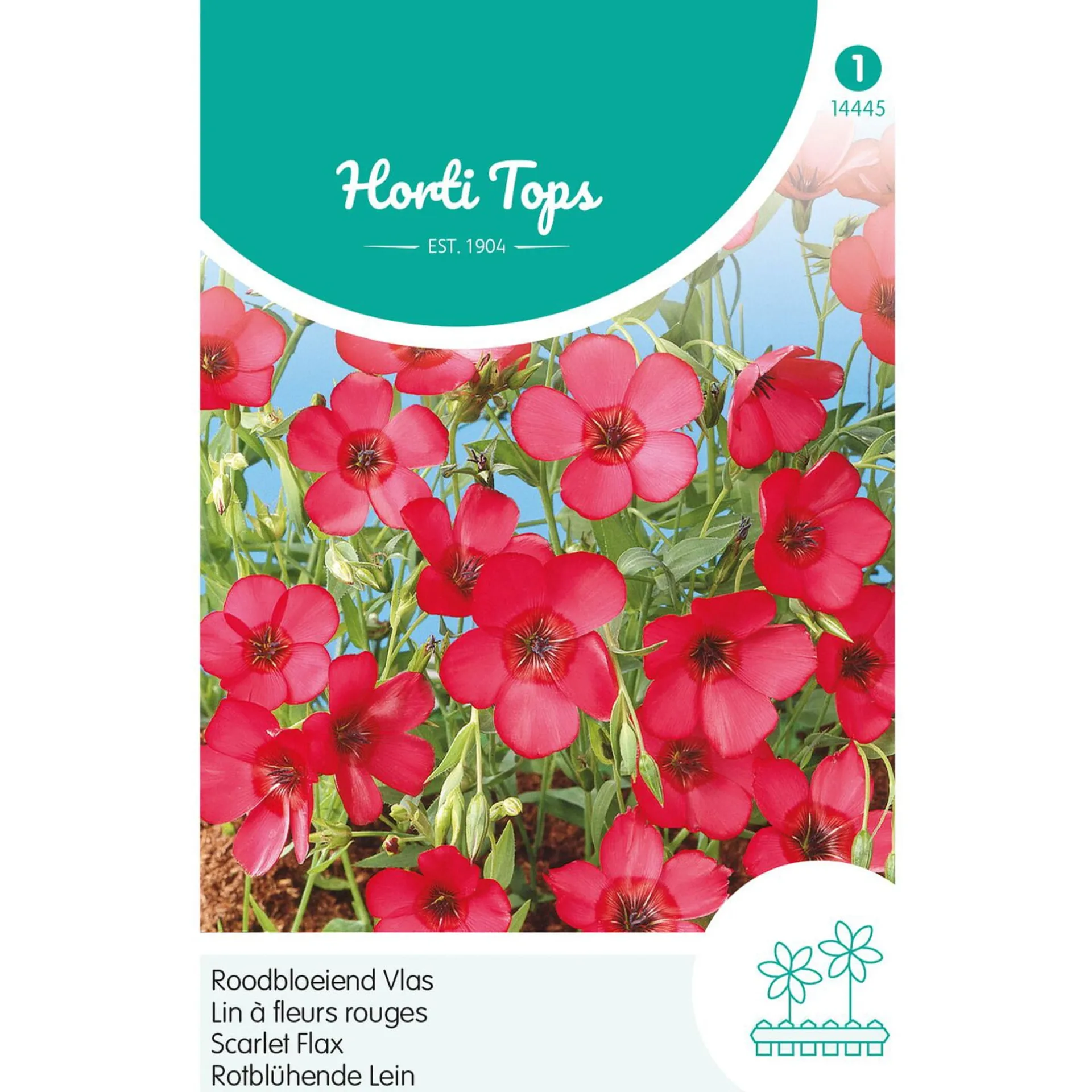 linum-rood-tbqbHslo-0.webp Best Horti Tops Linum Rood