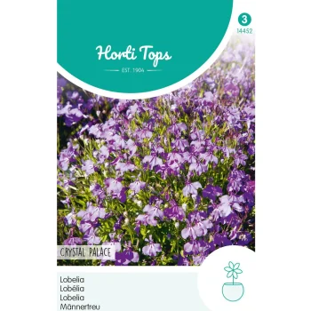 New Horti Tops Lobelia Crystal Palace