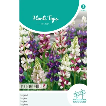 New Horti Tops Lupine Pixie Delight Mix