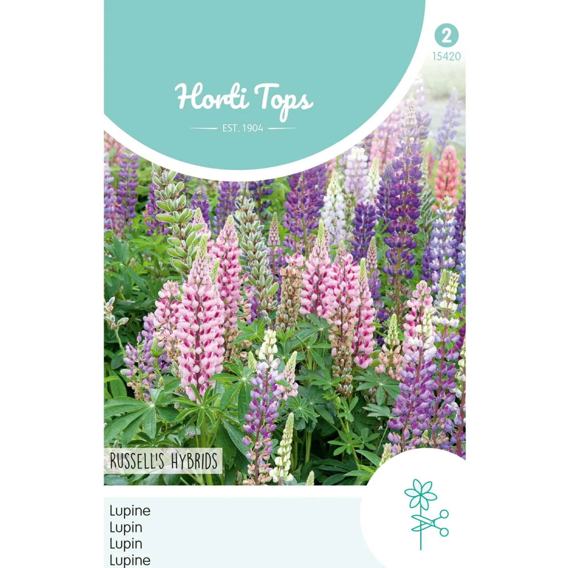 lupine-russell-hybrids-mix-XrtWyMYx-0.webp New Horti Tops Lupine Russell Hybrids Mix