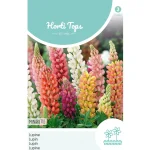lupinus-minarette-mix-AALqVhXC-0.webp