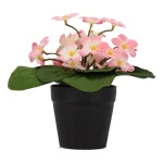 New Madeliefje In Pot 20 Cm - 4 Assorti