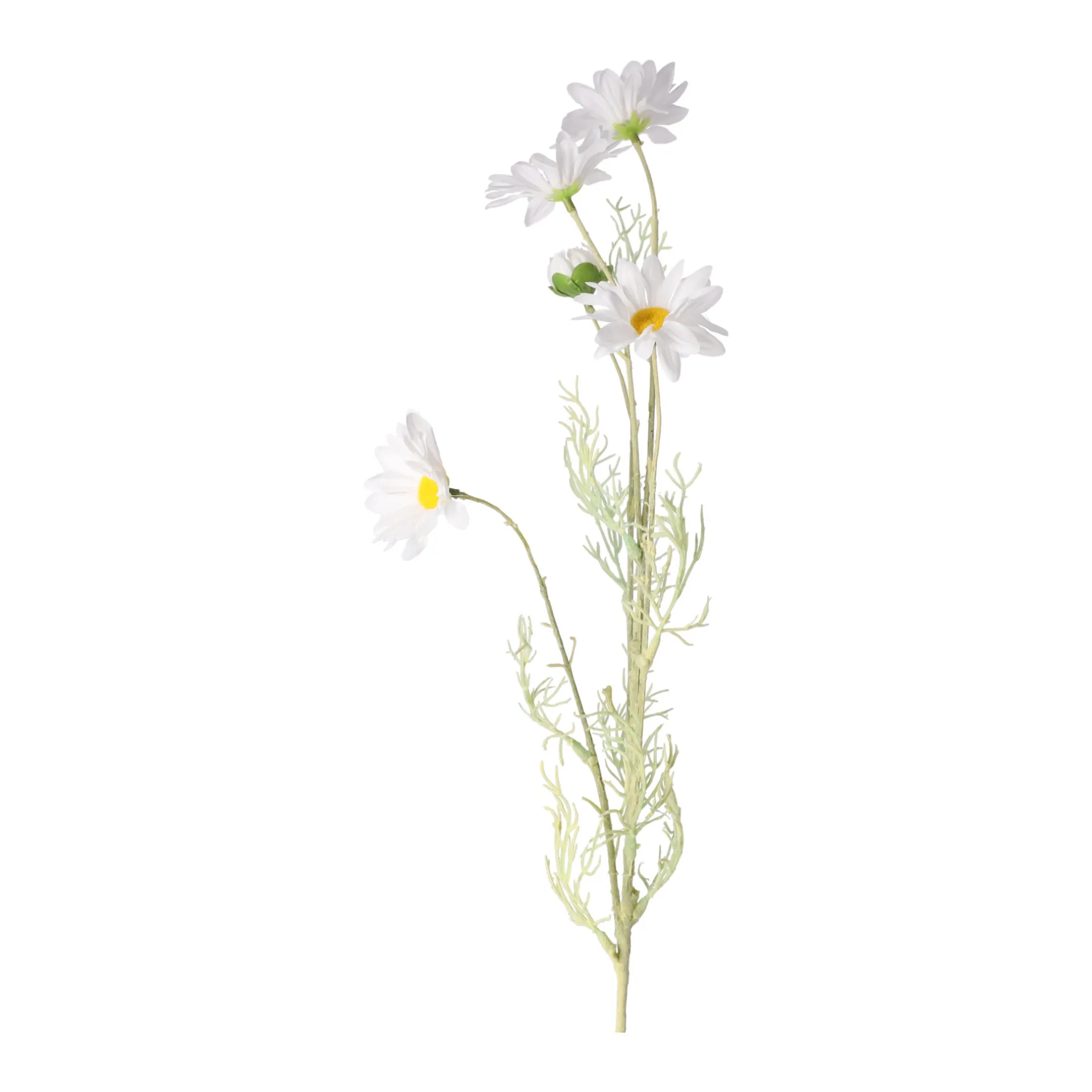 madeliefje-wit-78-cm-XFHXqPfl-1.webp Outlet Decoris Madeliefje Wit 78 Cm