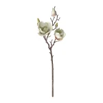 Discount O'malley Magnolia Enkel 55 Cm Groen