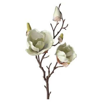Discount O'malley Magnolia Enkel 55 Cm Groen