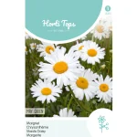 Online Horti Tops Margriet May Queen