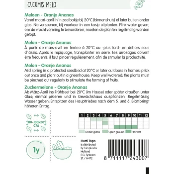 Outlet Horti Tops Meloen Oranje Ananas Zaad
