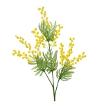 mimosa-geel-67-cm-EIEKwwOn-0.webp