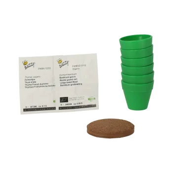 Best Buzzy Mini Greenhouse Kitchen Herbs 8