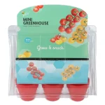 Fashion Buzzy Mini Greenhouse Sweet Cherry Tomatoes 8