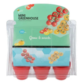 Fashion Buzzy Mini Greenhouse Sweet Cherry Tomatoes 8