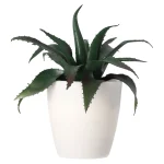 Fashion O'malley Mini Vetplant Decoratie 15 Cm Assorti