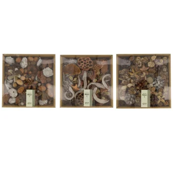 Discount Natural Collections Mix Exotisch Naturel 25 X 25 X 7 Cm