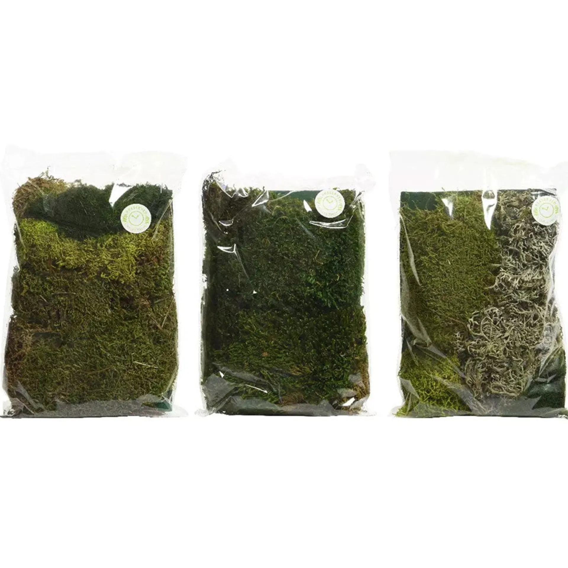 mos-zak-MoVVlUHK-0.webp Hot Decoris Mos Zak