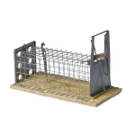 Discount Luna Muizenval Tunnelmodel 13cm