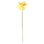 narcis-39-cm-pvjinnKW-0.webp
