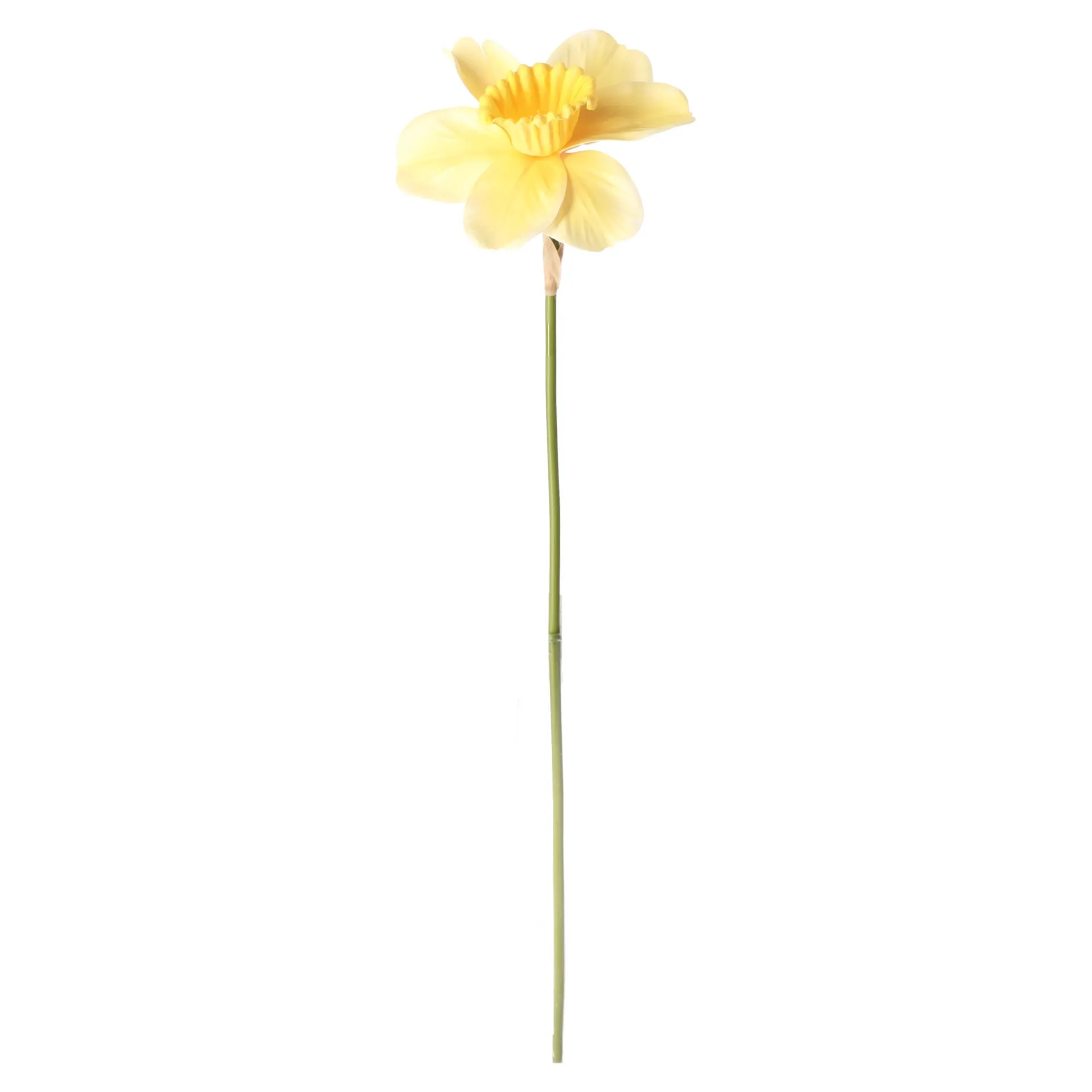 narcis-39-cm-pvjinnKW-4.webp New Decoris Narcis 39 Cm