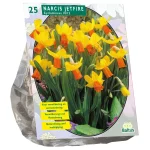 Discount Baltus Narcis Mini Jetfire Geel Oranje Per 25