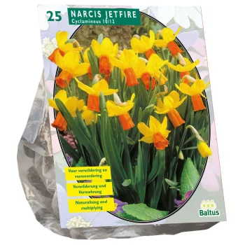 Discount Baltus Narcis Mini Jetfire Geel Oranje Per 25