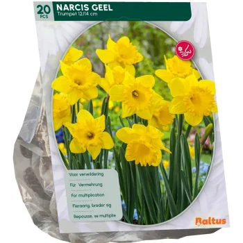 Sale Baltus Narcis Trompet Geel Per 15