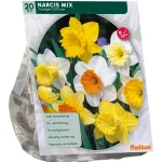 Best Baltus Narcis Trompet Mix Per 15