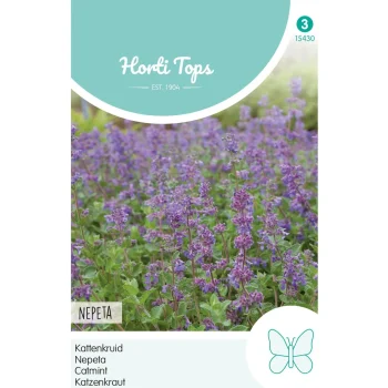 Fashion Horti Tops Nepeta Kattenkruid
