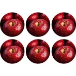 Fashion Natural Collections Onderzetter Rond Fruit 10 Cm 6 Assorti