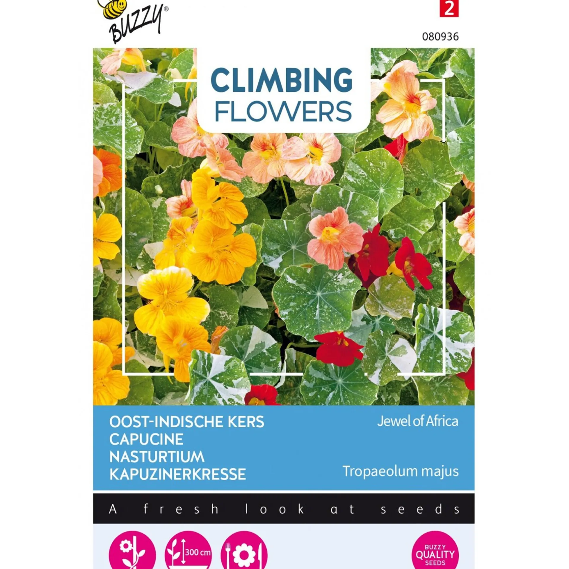 oost-indische-kers-majus-PlptpVwJ-0.webp Sale Buzzy Oost-Indische Kers Majus