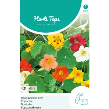 Online Horti Tops Oost-Indische Kers Tom Thumb