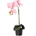 New Natural Collections Orchidee 38 Cm Roze