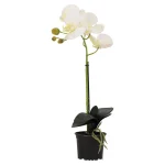 Clearance Natural Collections Orchidee 38 Cm Wit
