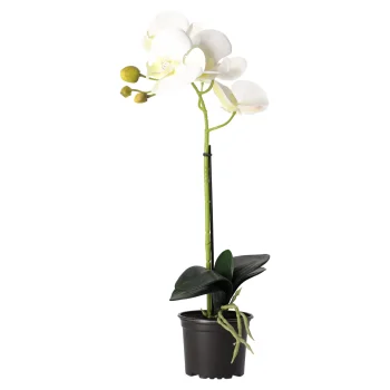 Clearance Natural Collections Orchidee 38 Cm Wit
