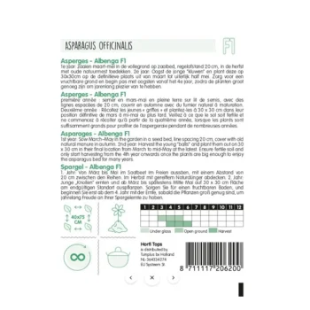 Clearance Horti Tops Paarse Asperge Albenga