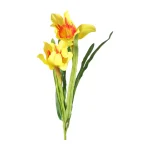 paasbloemen-58-cm-geel-6-assor-tGCfFgai-0.webp