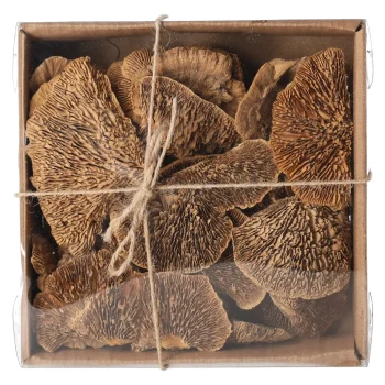 Hot Natural Collections Paddenstoel Deco Naturel 120g