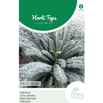Best Horti Tops Palmkool Nero Di Toscane
