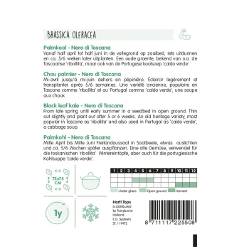 Best Horti Tops Palmkool Nero Di Toscane