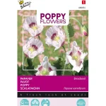 papaver-blauwmaanzaad-RqNoccjd-0.webp