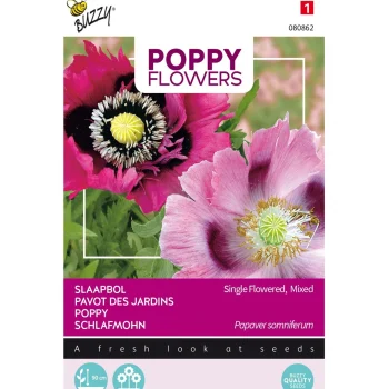 Outlet Buzzy Papaver Enkelbloemig Mix