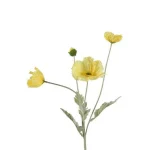 Clearance Everlands Papaver Geel 63 Cm