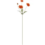 papaver-oranje-63-cm-UZZQcJkx-0.webp