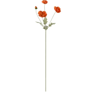 Best Peraga Papaver Oranje 63 Cm