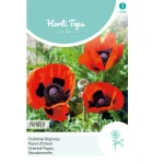 Hot Horti Tops Papaver Orientale Oosterse Klaproos Rood