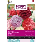 Fashion Buzzy Papaver Pioenbloemig