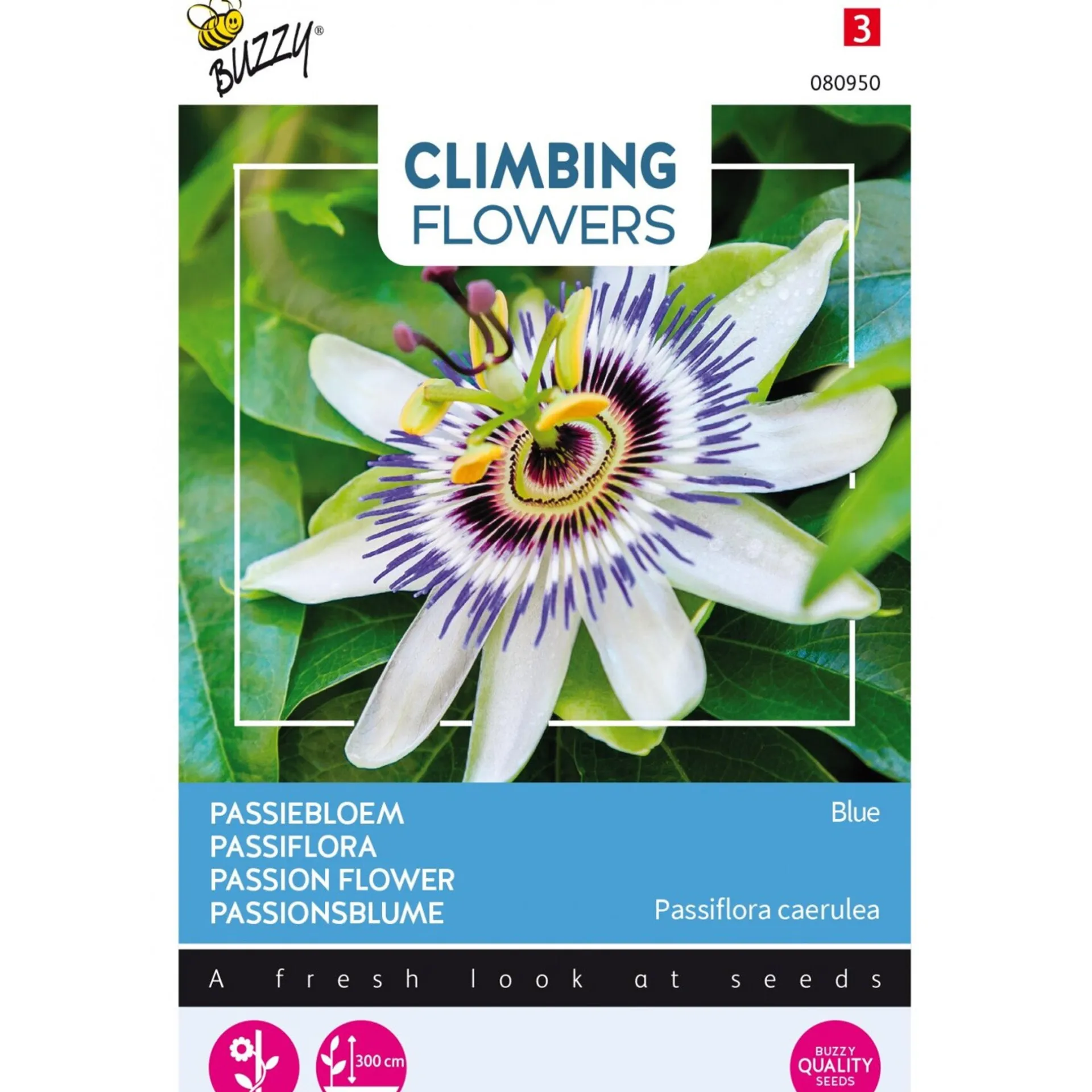 passiebloem-blauw-LJevkngB-0.webp Outlet Buzzy Passiebloem Blauw